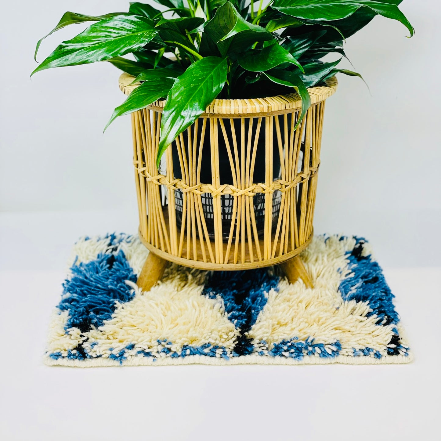 Plant Coasters (Counter Mats)