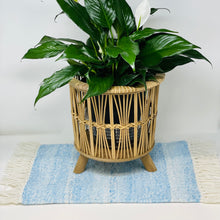 Load image into Gallery viewer, Plant Coasters (Counter Mats)
