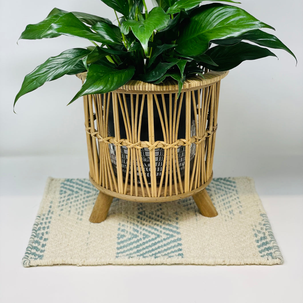 Plant Coasters (Counter Mats)