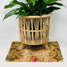 Load image into Gallery viewer, Plant Coasters (Counter Mats)
