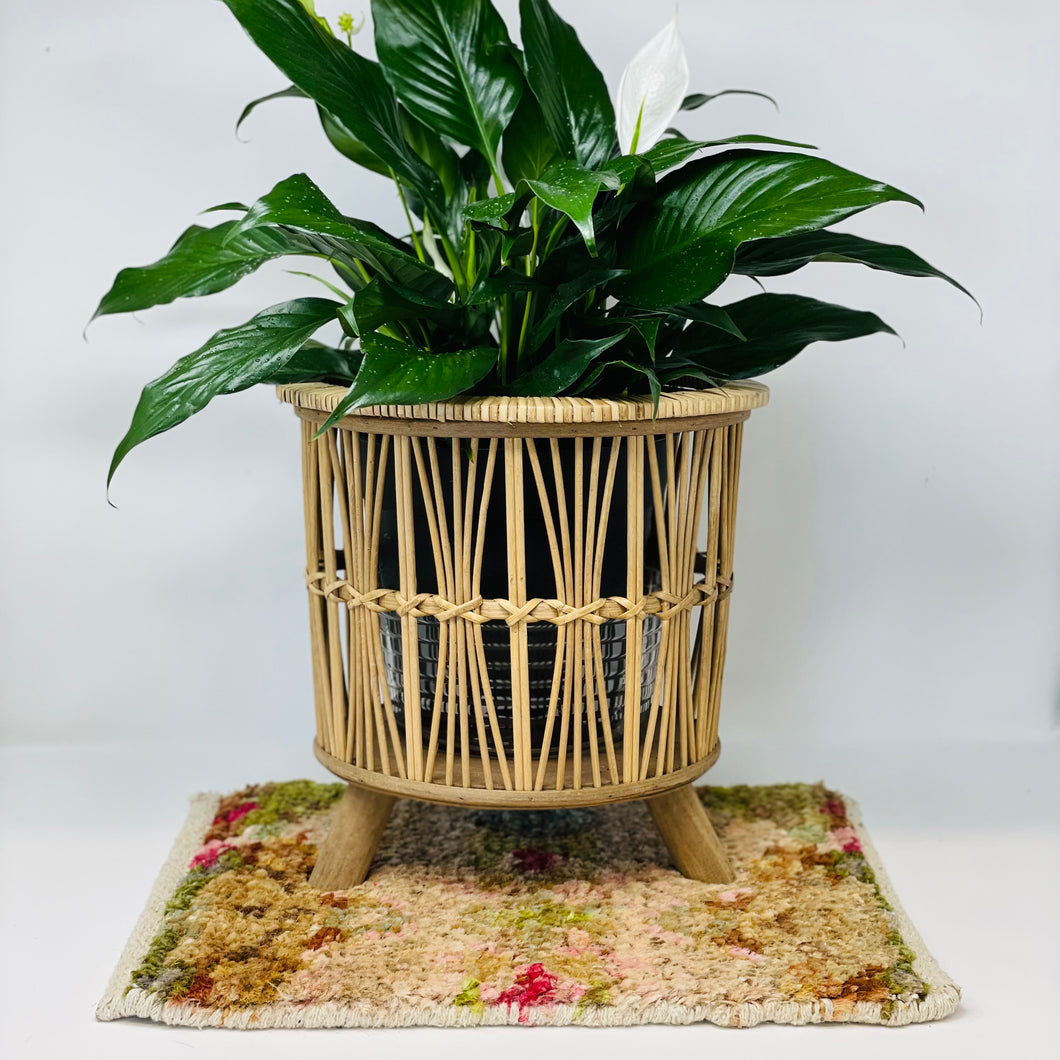 Plant Coasters (Counter Mats)
