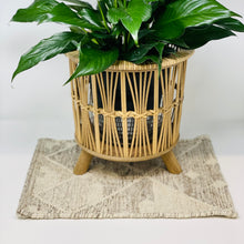 Load image into Gallery viewer, Plant Coasters (Counter Mats)
