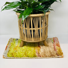 Load image into Gallery viewer, Plant Coasters (Counter Mats)
